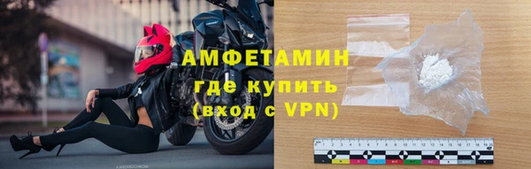 молекула духа Ельня