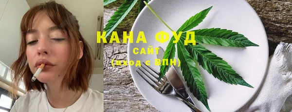 молекула духа Ельня