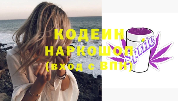 молекула духа Ельня