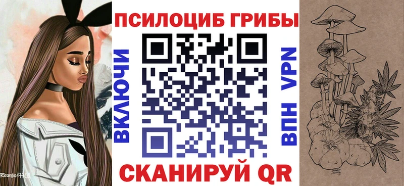 Галлюциногенные грибы Cubensis Купить закладки Тара
