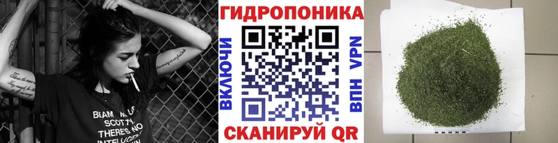 Купить закладки Тара Шишки марихуана план
